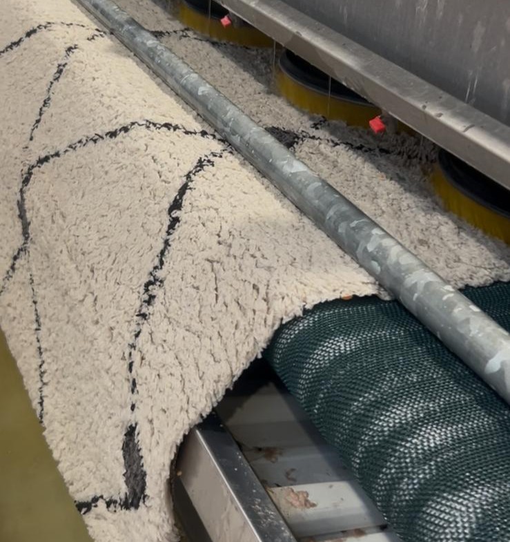 Machine de brossage automatique